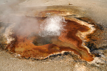 Yellowstone National Park Wyoming with bubbling and steaming geyser