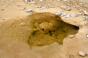 Yellowstone National Park with colorful geyser