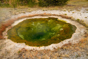 Yellowstone National Park with colorful geyser