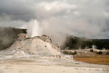 Yellowstone National Park Wyoming with bubbling and steaming geyser