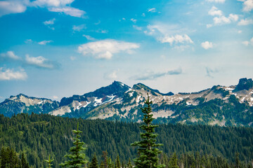 Scenery landscape of mountain. Scenery coniferous forest. Pine tree and mountain forest landscape. Mountain landscape. Forest nature mount. Nature in mountain countryside. Breathtaking wilderness