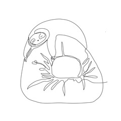 Sleeping sloth single line vector illustration