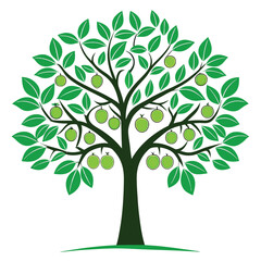 Obraz premium Guava-tree-illustration-vector-design