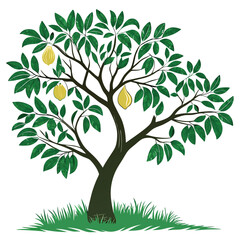 Guava-tree-illustration-vector-design
