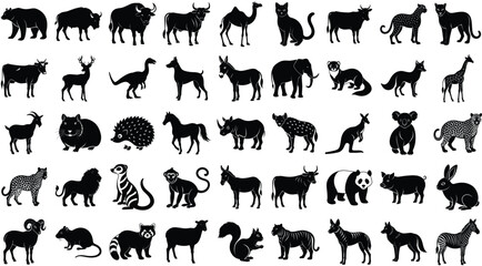 Obraz premium set of animals silhouettes