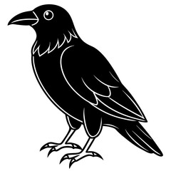 Fototapeta premium Crow Vector Illustration – Cartoon, Clipart & Line Art Printable Graphic Design