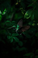 Fototapeta premium Hummingbird in emerald flight dances within the verdant forest depths