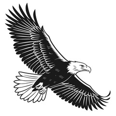 eagle is flying in the sky vector-01.eps