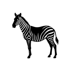 zebra vector illustration