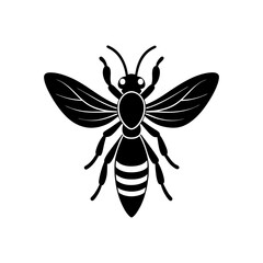 butterfly vector illustration