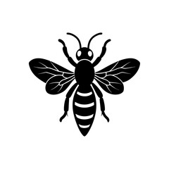 vector illustration of a bee