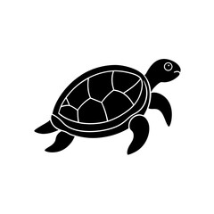 turtle vector illustration