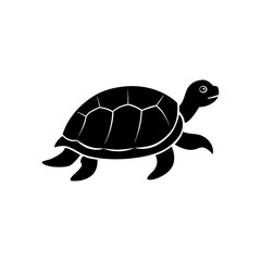 turtle vector illustration