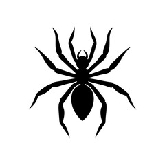 black and yellow flower