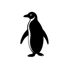 penguin vector illustration