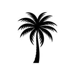Obraz premium palm tree silhouette
