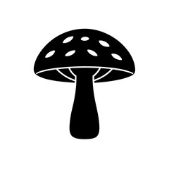 mushroom isolated on white background