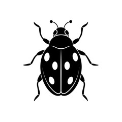 vector illustration of a ladybug