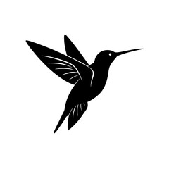 hummingbird in flight vector