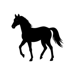 horse silhouette isolated on white