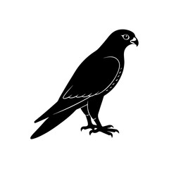 Obraz premium crow on a white background