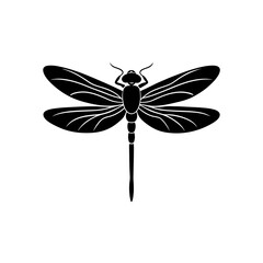 dragonfly on white background