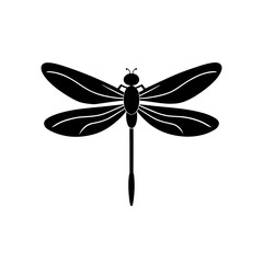 dragonfly vector illustration