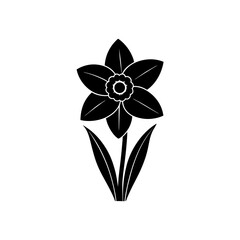 black and white flowers