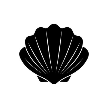 seashell isolated on white
