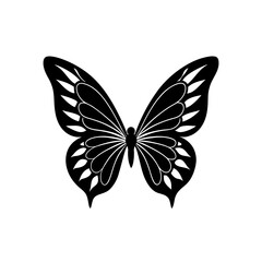butterfly vector illustration