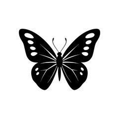 butterfly isolated on white