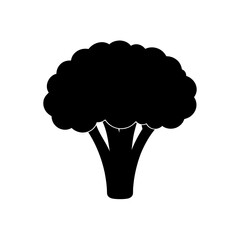 broccoli vector illustration