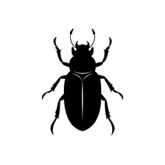 stag beetle isolated on white background