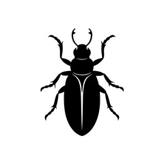 vector illustration of a beetle