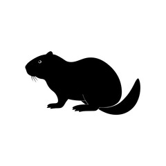 vector illustration of a leopard