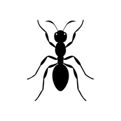 vector illustration of a spider