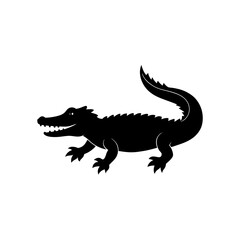 crocodile isolated on white