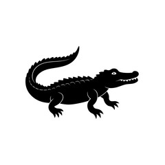 crocodile isolated on white