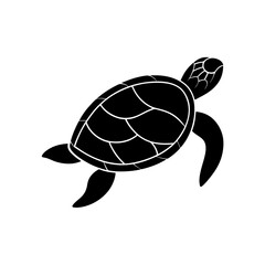 vector illustration of turtle