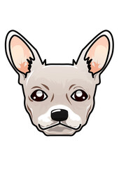 Illustration of a head of chihuahua