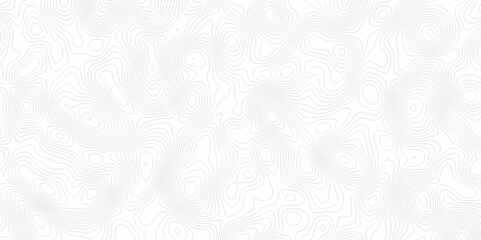 White topography topology vector white background fresh contour map texture. white seamless pattern Abstract background with a wave Topography and geography map grid abstract backdrop.