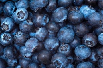 Close-up of blueberries on dark background. Fresh blueberries. Fresh blueberry background.
