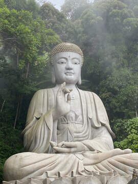  Serene Giant Buddha Statue in Misty Forest - Peaceful Spiritual Landscape
