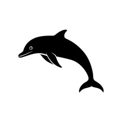 dolphin isolated on white background