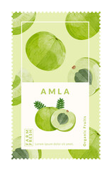 Amla packaging design templates, watercolour style vector illustration.