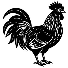 Rooster Silhouette Vector Art – Bird Illustration on White Background