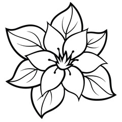 vector illustration of a flower
