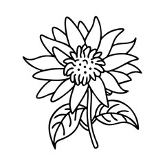 bee balm flower icon, bee balm flower line art - simple line art of bee balm flower, perfect for bee balm flower logos and icons
