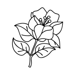 bougainvillea flower icon, bougainvillea flower line art - simple line art of bougainvillea flower, perfect for bougainvillea flower logos and icons