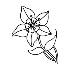 columbine flower icon, columbine flower line art - simple line art of columbine flower, perfect for columbine flower logos and icons
